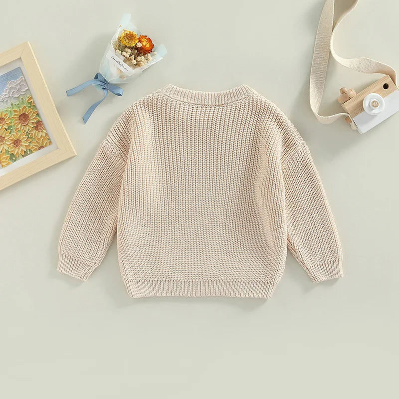 Infant Toddler Crew Neck Sweaters