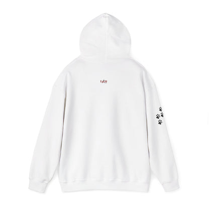 Cozy Stick Cat Lover Hoodie