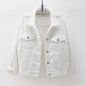 New Stunning Women's Plus Size Denim Jacket Spring Autumn Short Coat Pink Jean Jackets Casual Tops Purple Yellow White Loose Outerwear