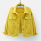 New Stunning Women's Plus Size Denim Jacket Spring Autumn Short Coat Pink Jean Jackets Casual Tops Purple Yellow White Loose Outerwear